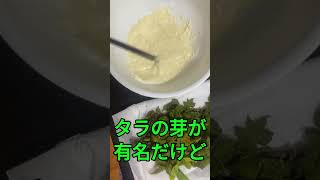 自分の家でタラの葉天ぷら🍃　#タラの葉　#野草食 #野草食