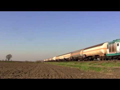 D445.1015 per Sannazzaro