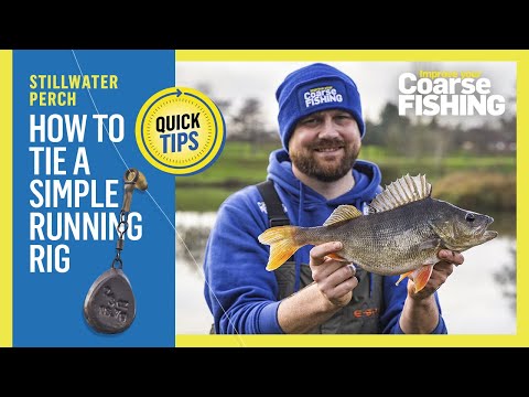 QUICK TIPS: Simple perch rig to catch two-pounders like this!
