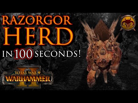 RAZORGOR HERD in 100 Seconds!