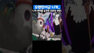 🔥레전드 회차🔥 니카 루피를 습격한 오로성 새턴! #onepiece #원피스