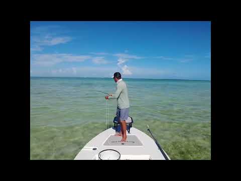 How to learn the DOUBLE HAUL with Capt. Paul Tejera ... Instuctional Series...Pro Tip