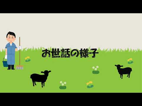 電気電子工学科 東北工業大学 ヤギプロジェクト【一般企画動画】