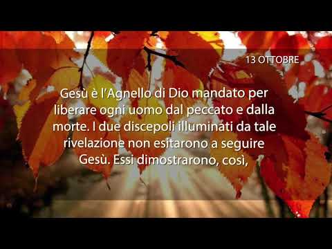 Meditazione del 13 Ottobre 2017 “SEGUIRE GESÙ”