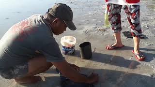 How to catch Bobbit worms  || People at Work 10 || Bait for fishing