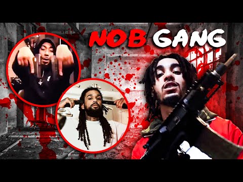 The Downfall of the NOB Gang - G FREDO / 7981 KAL