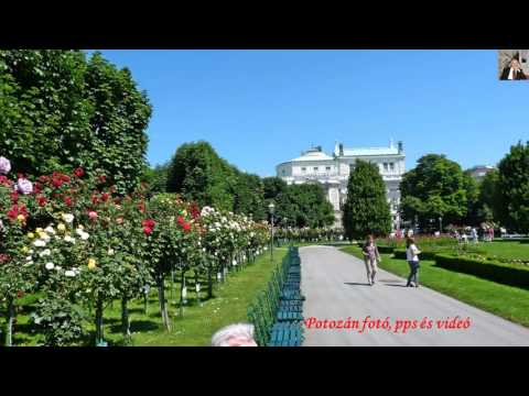 Bécs rózsái   séta a Volksgartenben   1