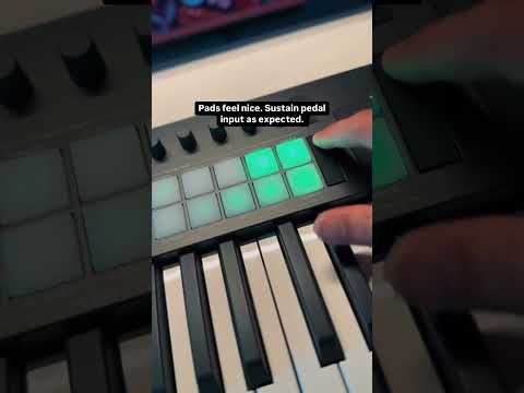 Novation Launchkey 37 MKIV MIDI Keyboard Controller 2024 - Present - Black image 4