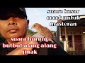 Suara Burung Butbut Alang Alang Cocok Untuk Masteran Burungjinakcitayam