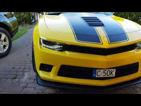 Dodo Juice Lime Prime + Banana Armour. 