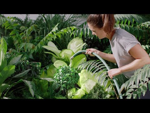 Phyn - Customer Success Story