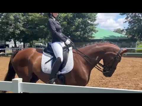 Dressur L* L4 (auf Kandare) 14.07.2024 in Sauerlach