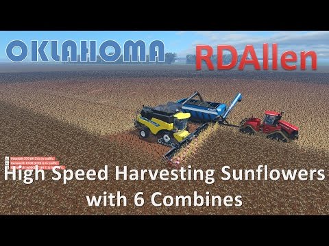 High Speed Harvesting Sunflowers with 6 Combines - Farming Simulator 15 Oklahoma