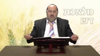 מלאכת דש חלק ה | הלכות שבת | הרב בנימין מועלם