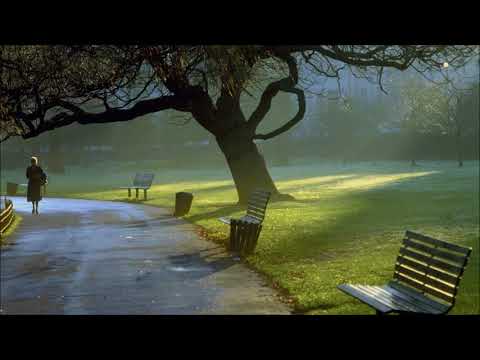 Hoenne - Lady (Club Mix)