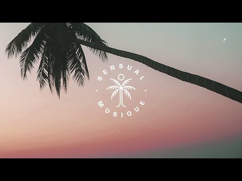 Zara Larsson - Don't Worry About Me (Alle Farben Remix) [Lyrics]