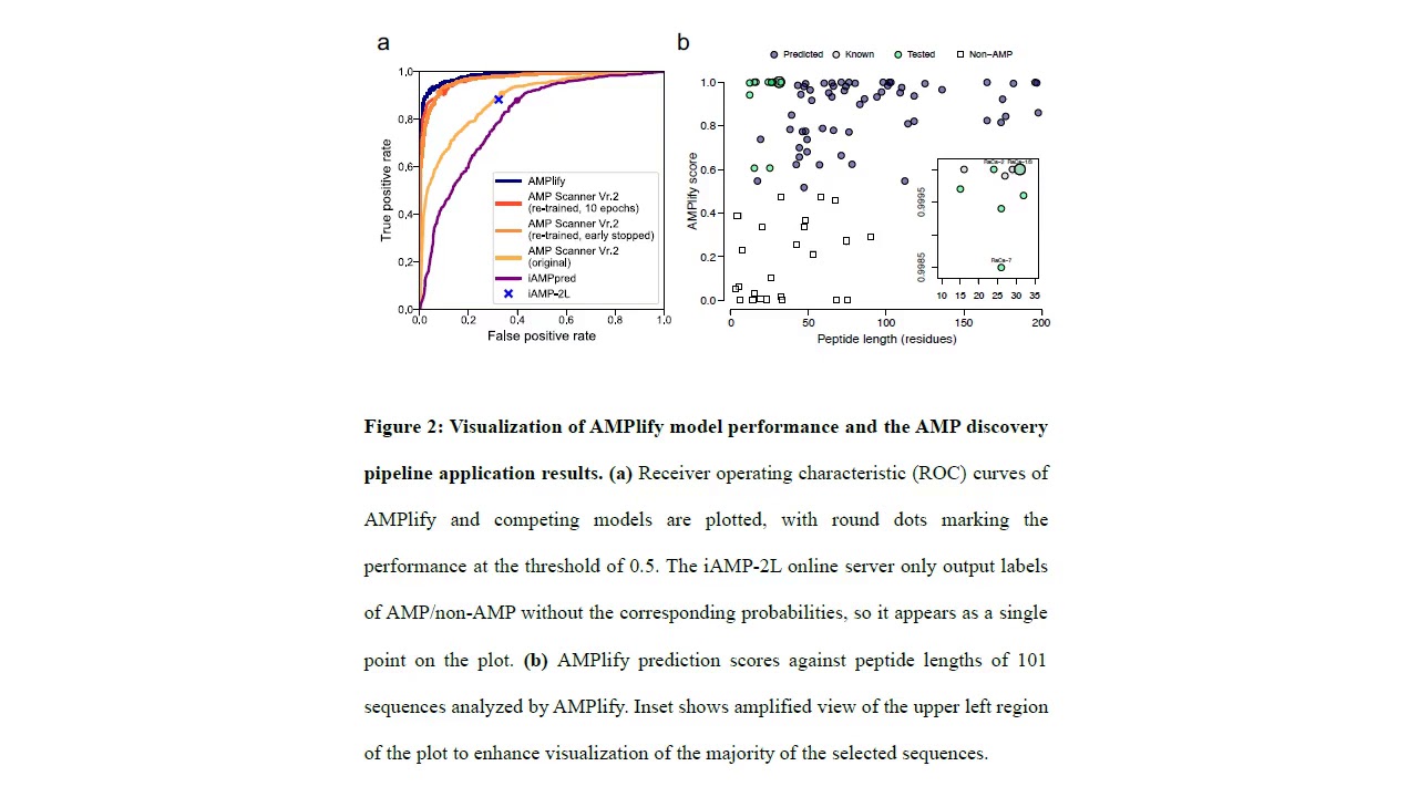 Novel antimicrobial peptides effective against WHO priority pathogens