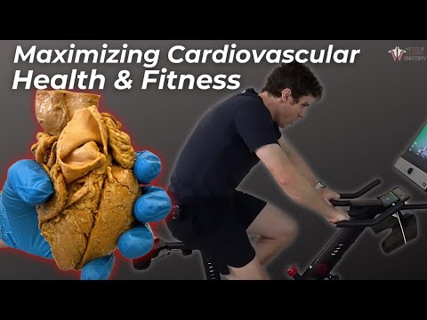 How to Maximize Cardiovascular Health & Fitness | Ft: Yesoul Exercise Bike, Rowing Machine&Treadmill