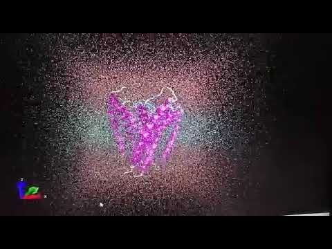 WhatsApp Video 2022 05 22 at 9 52 01 PM