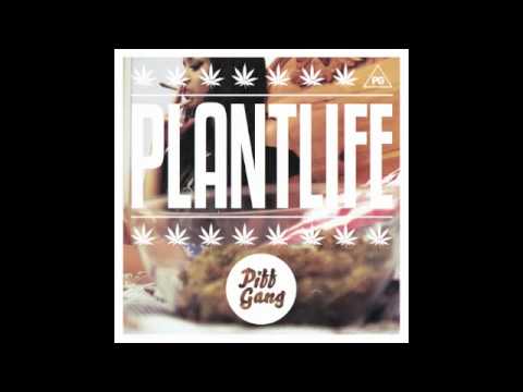 Piff Gang - Million Dollar Dream (Produced by The Purist)