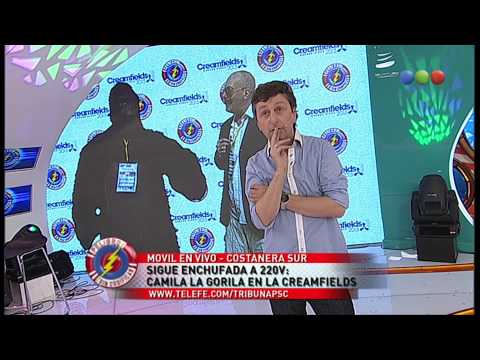 Salida De La Creamfields, Camila La Gorila - Peligro Sin Codificar