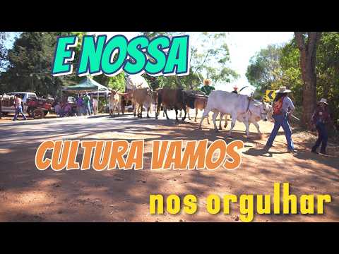 saida dos carreiros de damolandia para trindade go