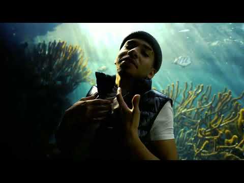 M DINERO - DNB (Dir.by @DOMAMANIC)