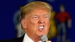 Why We're Counting Down The First Hundred Days Of Trump...