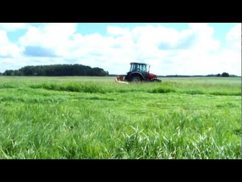 MF 3635 + Sipma Z184