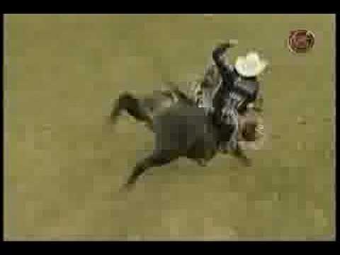 L.J. Jenkins VS Tony's Proimise