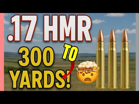 17HMR to 300 Yards: Not What I Expected 