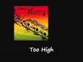 Anthony B Too High Flute Riddim