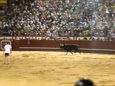 AREVALO. DOMINGO 10 DE JULIO DE 2011 (1)