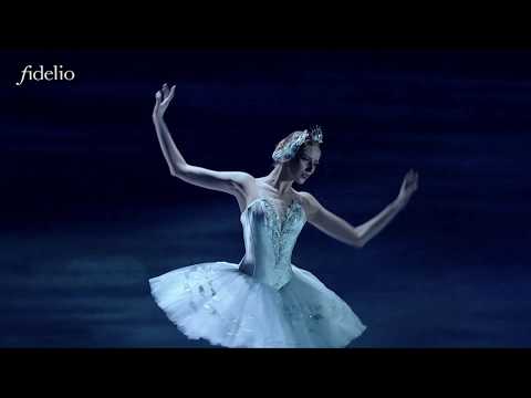 SCHWANENSEE aus der Wiener Staatsoper