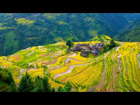 Live: Guizhou's dreamlike cascades Ep. 4 – The cloud-veiled terraces of Jiabang in SW China