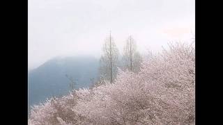 tin pan alley- lucky peterson