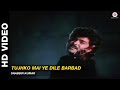 Tujhko Mai Ye Dile Barbad - Pyar Kiya Hai Pyar Karenge | Shabbir Kumar | Anil Kapoor Tujhko Mai Ye Dile Barbad - Pyar Kiya Hai Pyar Karenge | Shabbir Kumar | Anil Kapoor