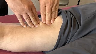 Pulled Hamstring Muscle: How to speed up healing