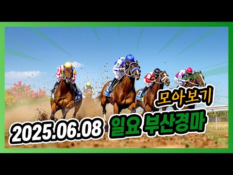 2025년 6월 8일 일요 부산경마 전체경주 모아보기