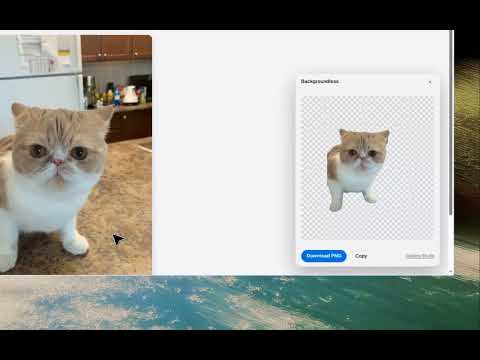 Item video thumbnail