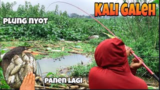 Download lagu Teknik Nutul Paling Ampuh: Roti Racing Bikin Nilem Kali Galeh Rawapening Ngamuk! mp3 Download lagu Teknik Nutul Paling Ampuh: Roti Racing Bikin Nilem Kali Galeh Rawapening Ngamuk! mp3