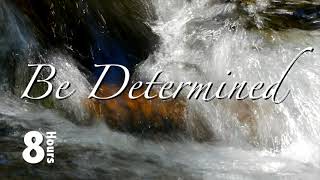 Be determined. A person that has a strong desire to achieve their goals. Sleep, relax or meditate.