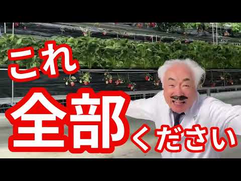 博士の勘違い　～いちごいちえん～