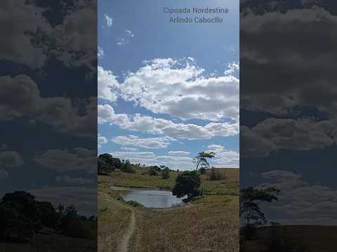 Coisas do Nordeste - Serra da Raiz/PB Crédito:Beto de Toré  #nordeste #turismodeaventura #paraiba