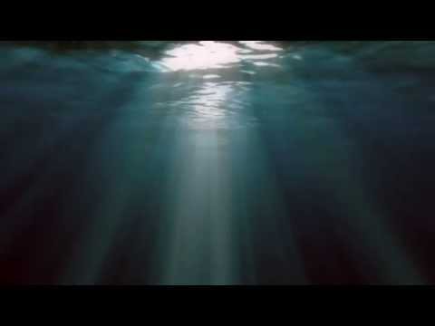 Poetica Musica - Uspávanka nenarodeného (CD Áno za život)