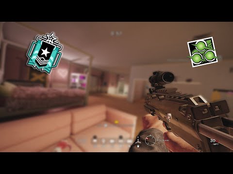 How A NY Plat Dominates In Shadow Legacy