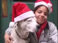 Noggin Presents Elmo S Thinking About Happy Holidays Elmo S World