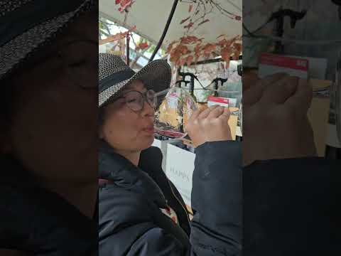 Happs Winery - Margaret River's Hidden Gem with an All-You-Can-Drink-Wine Tap!