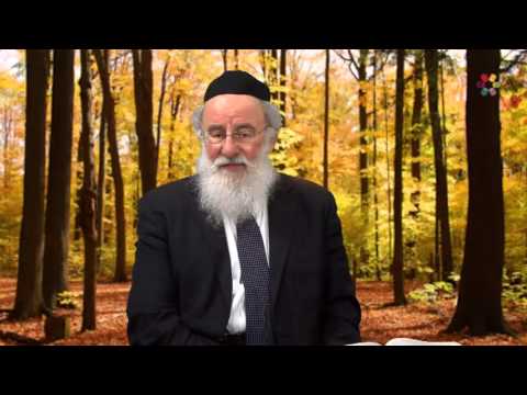 Rabbi Yehonason Alpren - A Searching Soul