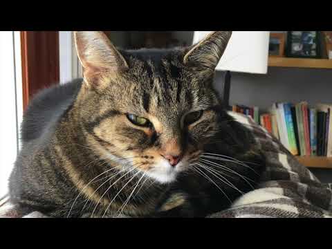 The Secrets of the Old (Samuel Barber)